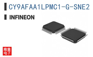 CY9AFAA1LPMC1-G-SNE2