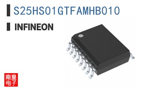 S25HS01GTFAMHB010