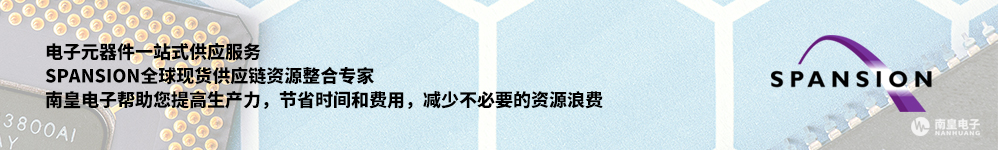 Spansion全球现货供应链整合专家